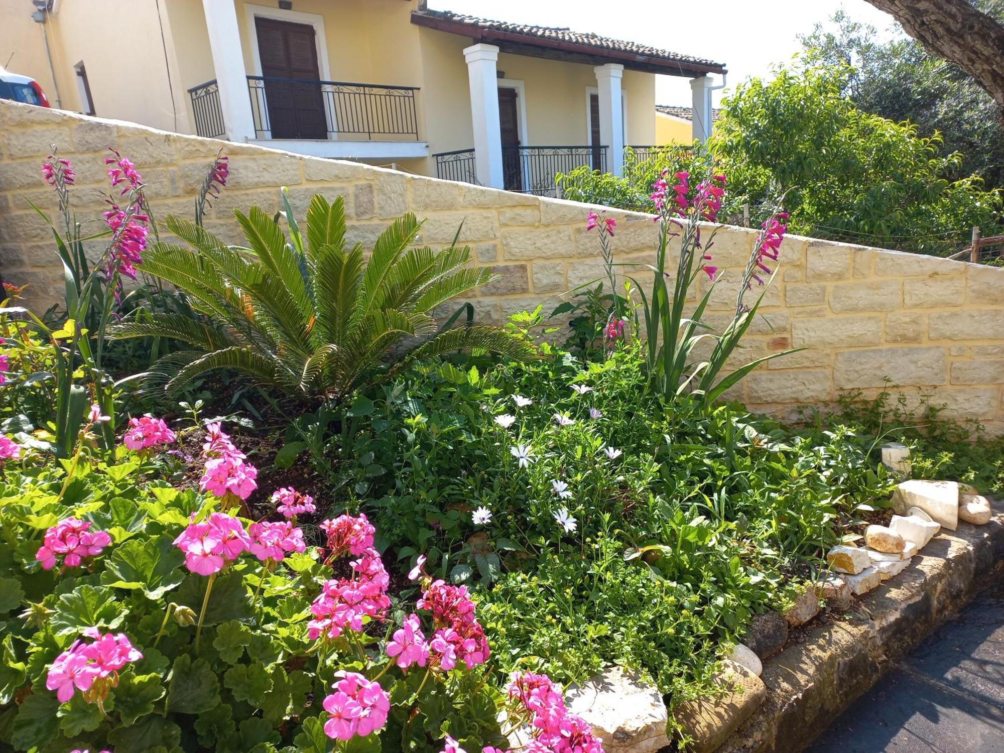 شقة Oneiro House كاسيوبي المظهر الخارجي الصورة